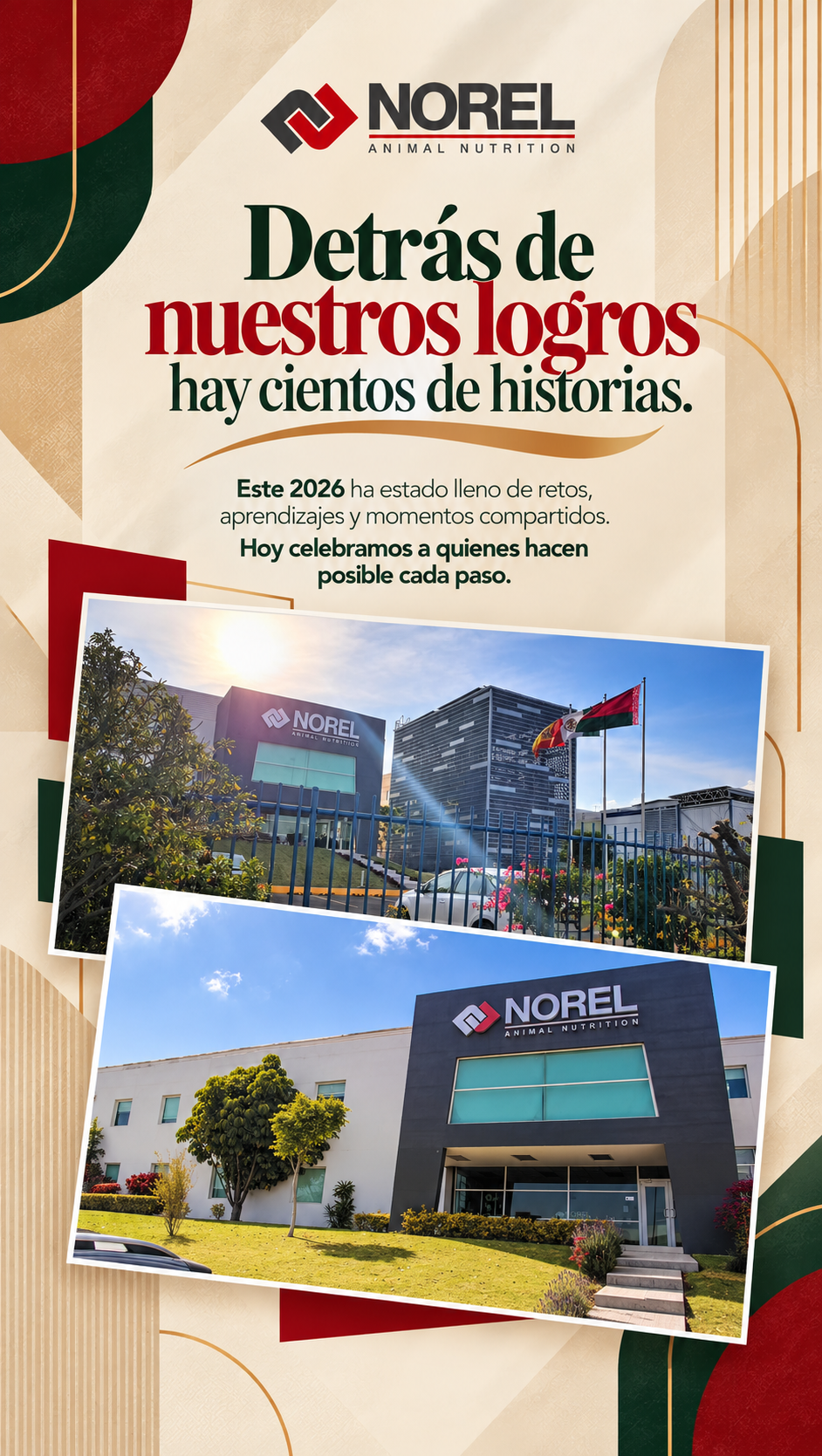 NOREL 2026, lámina 5